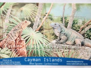Post 1999 + Cayman Islands Miniature Sheet - Iguanas 2 V.  A +++ photo