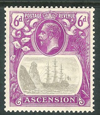 Ascension 1924 Grey - Black/bright - Purple 6d Sg16 photo