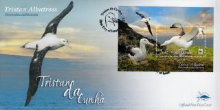 Tristan Da Cunha 2013 Fdc Tristan Albatross 1v Sheet S/s Cover Birds Nature Wwf photo