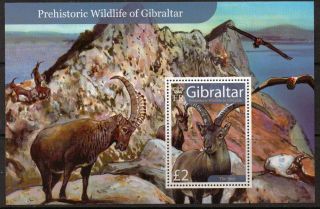 Gibraltar Sgms1225 2007 Prehistoric Wildlife S/s photo