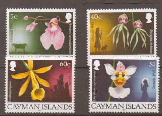 Cayman Islands Sg769/72 1993 Orchids photo