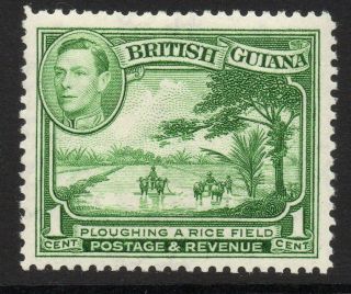 British Guiana Sg308 1938 1c Yellow - Green Mtd photo