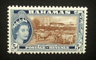 Bahamas Qeii 5d Stamp C1954 - 63 Modern Dairying,  Mounted A883 photo