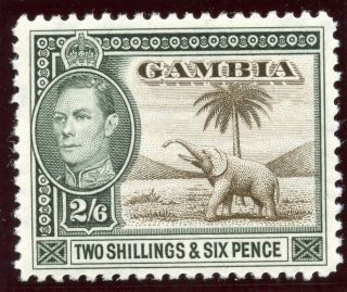 Gambia 1938 Kgvi 2s 6d Sepia & Dull Green Mlh.  Sg 158.  Sc 140. photo