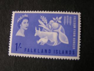Falkland Is.  Scott 146,  1/ - Value 1963 Freedom From Hunger Issue Mlh photo