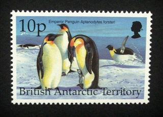 British Antarctic Territory Qeii 10p Bird Stamp C1993 Emperor Penguin,  Um,  A917 photo