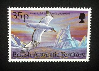 British Antarctic Territory Qeii 35p Bird Stamp C1993 Antarctic Fulmar,  Um,  A918 photo