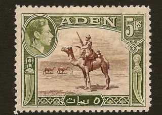 Aden : 1939 5 Rupees Red - Brown And Olive Green Sg 26 photo