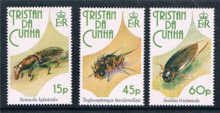 Tristan Da Cunha 1993 Insects Sg539/41 photo
