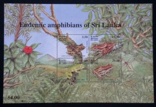 Sri Lanka 2001 Reptiles Amphibians Frogs Herpetology Dragonfly photo