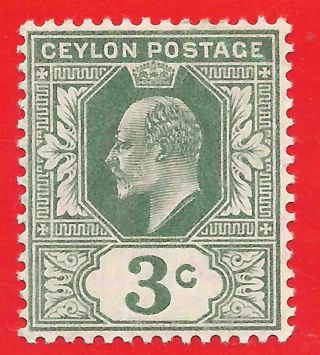 3c Green Stamp 1904 - 05 Ceylon King Edward Vii Sg278 Creased photo