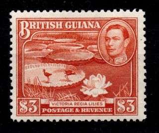 British Guiana Sg319a 1946 $3 Bright Red - Brown Mtd photo