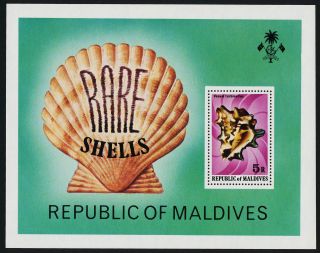Maldives 793 Rare Shells photo
