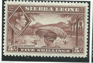Sierre Leone - 1938 - Sg198 - Cv £ 10.  00 - Mounted photo