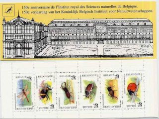 Belgium Insects - Bee - Beetles - Ladybug - Booklet 6vals - 1996 - Dragonfly - Insectes photo