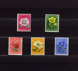 Netherlands B238 - 42 Flowers: Rose,  Marigold,  Tulip,  Daisy & Cornflower photo