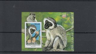Namibia 2004 Vervet Monkeys Sg Ms958 Miniature Sheet photo