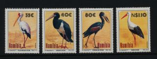 Namibia 766 - 9 Birds photo