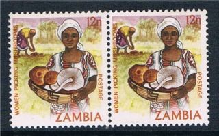 Zambia 1981 12n Definitive Pair Sg 342 photo