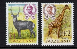 Swaziland 228 - 9 Giraffe,  Waterbuck,  Animals photo