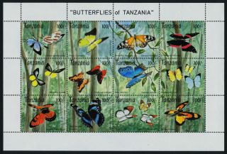 Tanzania 1054m Butterflies photo