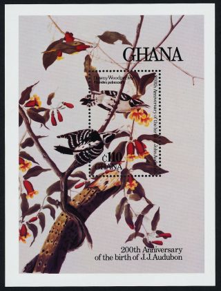 Ghana 984 Birds,  Flowers,  Art,  Audubon photo
