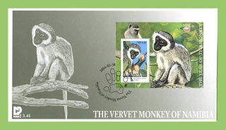 Namibia 2004 The Vervet Monkey Miniature Sheet On First Day Cover photo