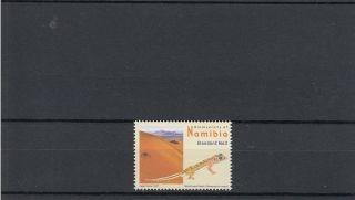 Namibia 2007 Biodiversity Definitives Sg 1058 Web - Footed Gecko Reptiles photo