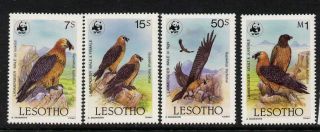 Lesotho 512 - 5 Wwf Birds photo