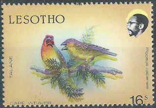 Lesotho.  1988.  Birds.  Error (2498) photo