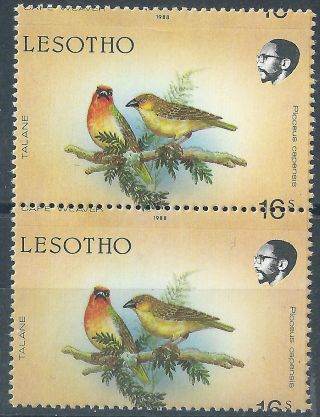 Lesotho.  1988.  Birds.  Error (2499) photo