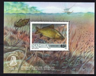 Namibia Swa 1992 Fishes Philatelic Mini Sheet Unmounted Ref:y541 photo
