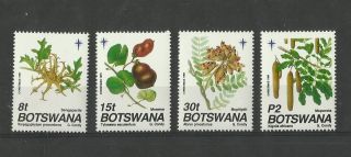 1204.  Botswana 1991 Christmas photo