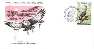 World Wildlife Fund First Day Cover - The Gambia - The Lizard Buzzard - No 98 photo