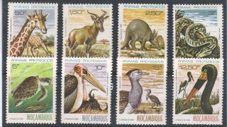 Mozambique 1981 Animais Protegidos 8 Valores Serie Completa Selos Novos photo