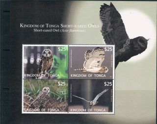 Tonga 2012 Owls Airmail Express Ms Issue photo