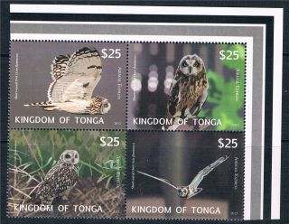 Tonga 2012 Owls Airmail Express Blk 4 Issue photo