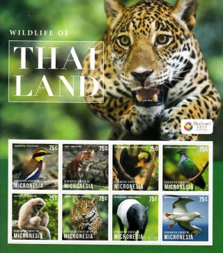 Micronesia 2013 Wildlife Of Thailand 8v M/s Birds Leopard Dhole Tapir Gibbon photo