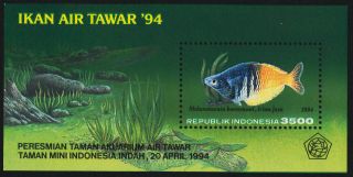 Indonesia 1575 Fish photo