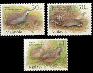 Quails & Partridges Malaysia 2001 Animal Pets Farms (stamp) photo