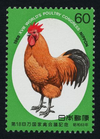 Japan 1806 World Poultry Congress,  Bird photo