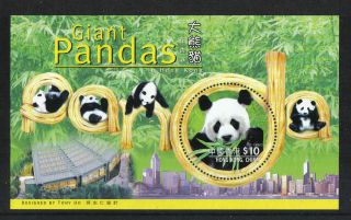 Hong Kong 1999 Giant Pandas Ss - - Attractive Animal/conservation Topical (843) photo