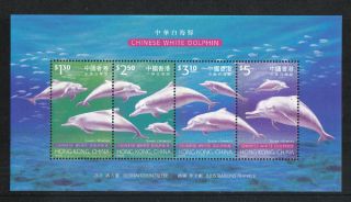 Hong Kong 1999 Chinese White Dolphins Ss - - Attractive Animal Topical (879) photo