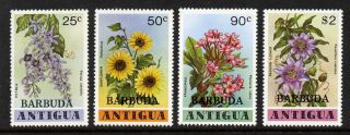 Barbuda 360 - 3 - Flowers photo