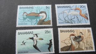 Bahamas 19781 Sg 589 - 592 Wildlife (1st Series). photo