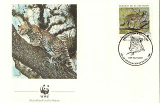 (23991) Fdc - El Savador - Tigrillo (tiger Cat) - 1988 photo