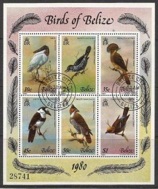 Belize.  1980.  Birds Miniature Sheet.  Sg: Ms567.  Fine. photo
