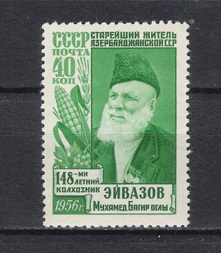 Russia.  Ussr.  Azerbayzhan.  1956.  Mi 1871.  Vesion (