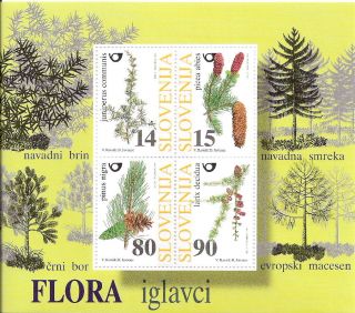 Slovenia 1998 Conifer Trees S/s (sc 327) photo