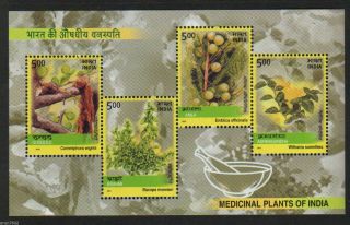 India 2003 Medicinal Plants Herbs 4v S/s 62598 photo
